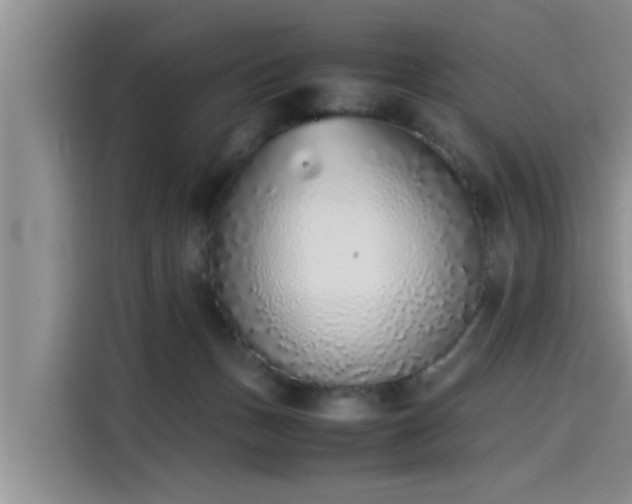 X0000115600175200911171135