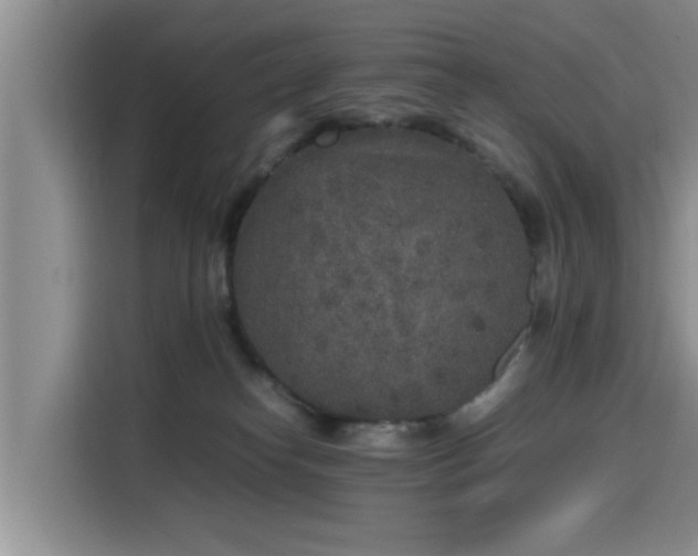 X0000115600182200911171135