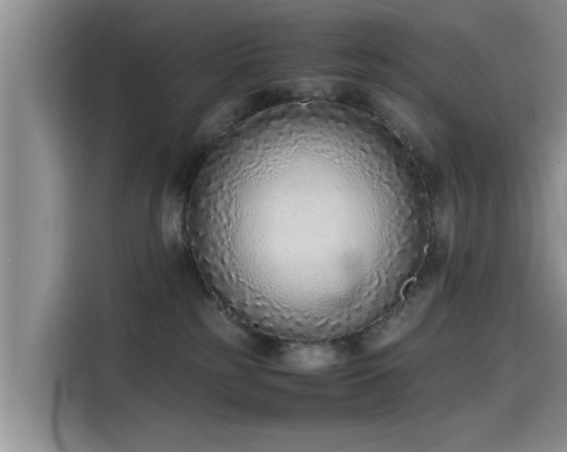 X0000115600185200911171135