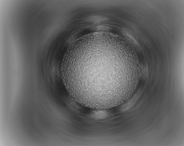 X0000115600189200911171135