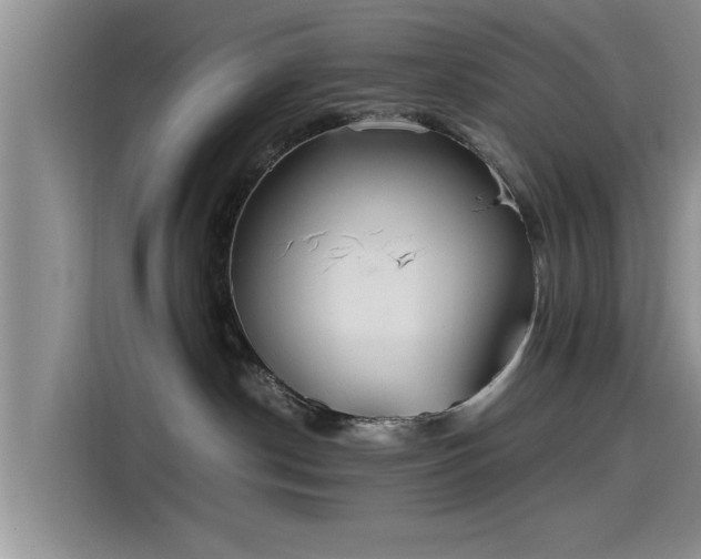 X0000115600190200911171135