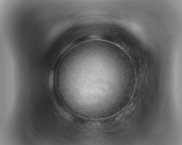 X0000115600194200911171135