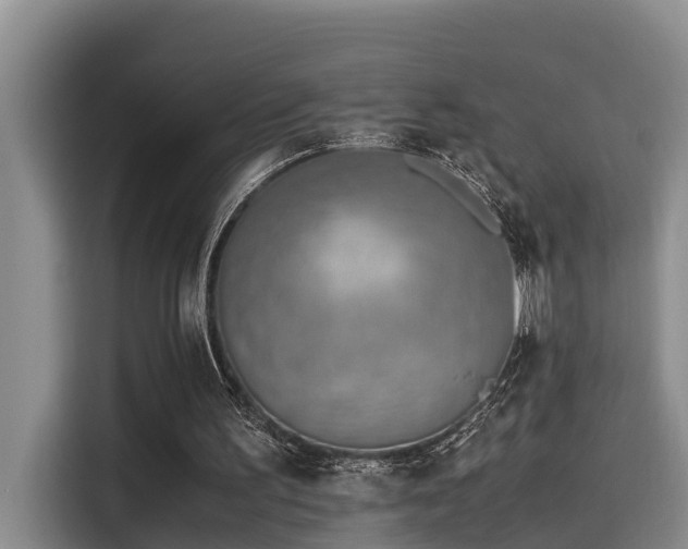 X0000115600195200911171135