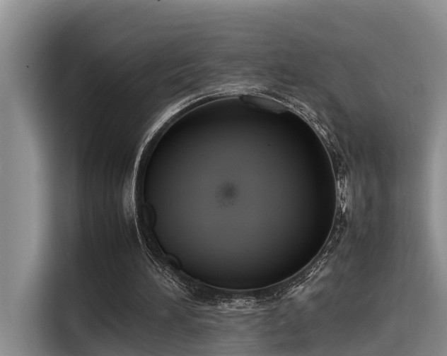 X0000115600196200911171135