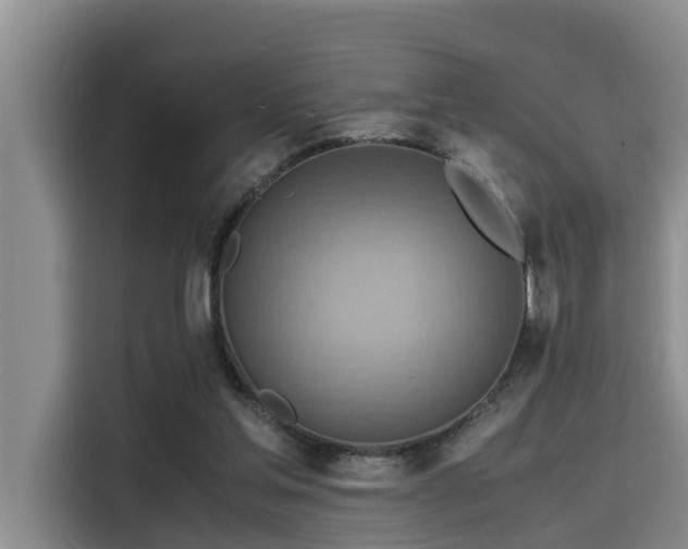 X0000115600205200911171135