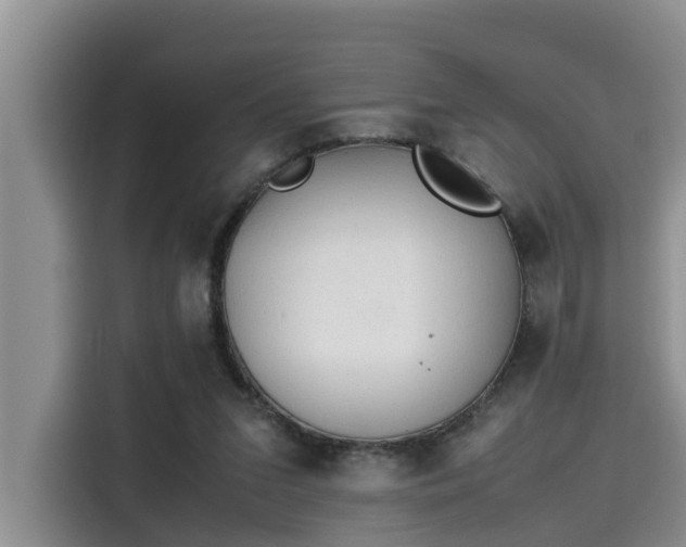 X0000115600207200911171135