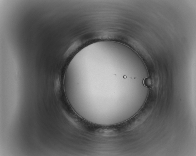 X0000115600208200911171135