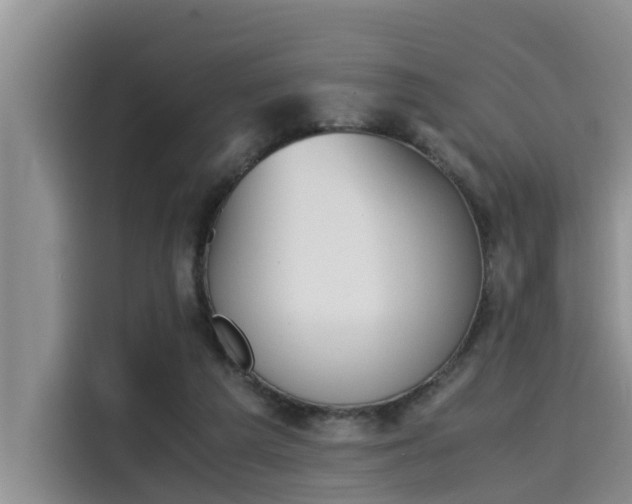 X0000115600209200911171135