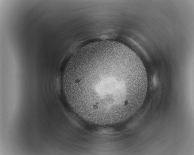 X0000115600210200911171135