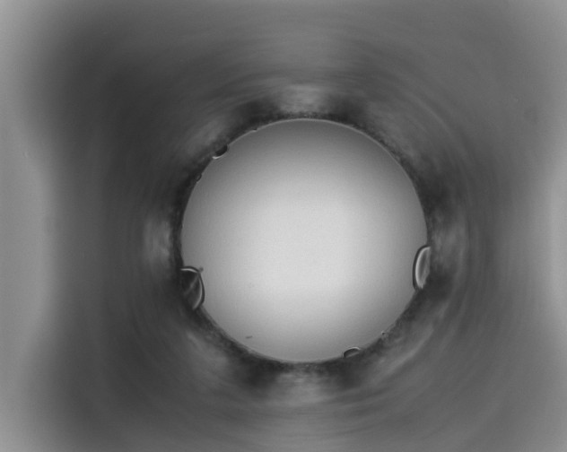 X0000115600211200911171135