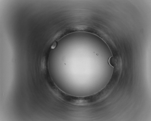 X0000115600212200911171135