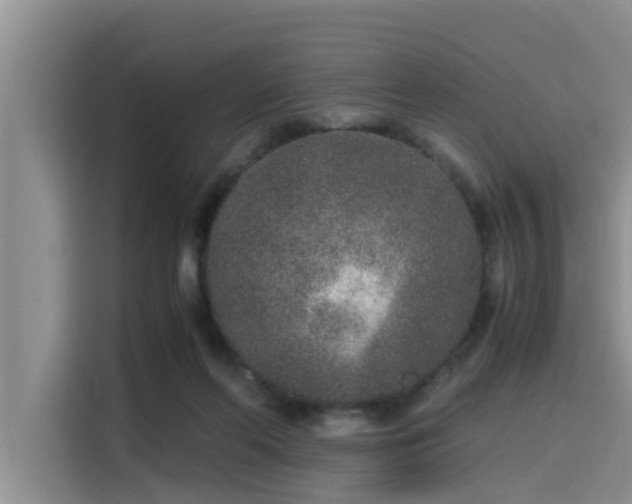 X0000115600214200911171135