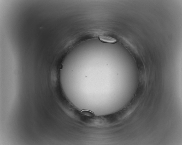 X0000115600215200911171135