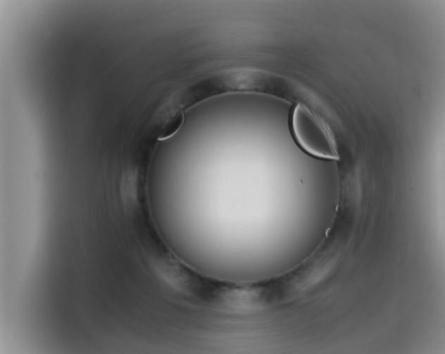 X0000115600217200911171135