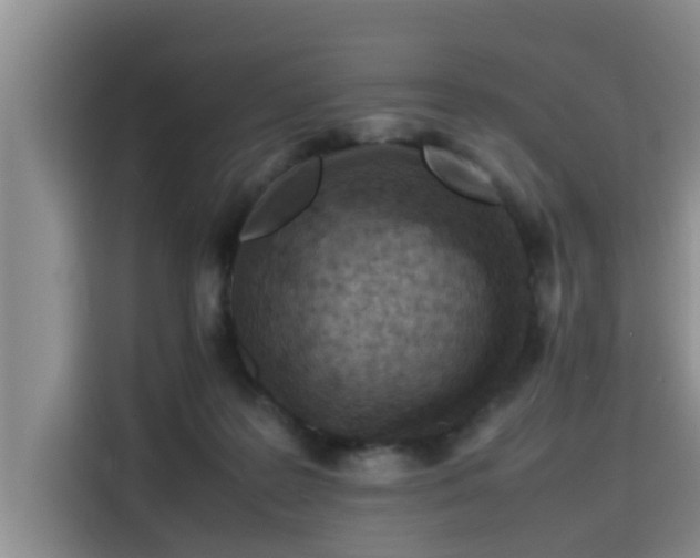 X0000115600219200911171134