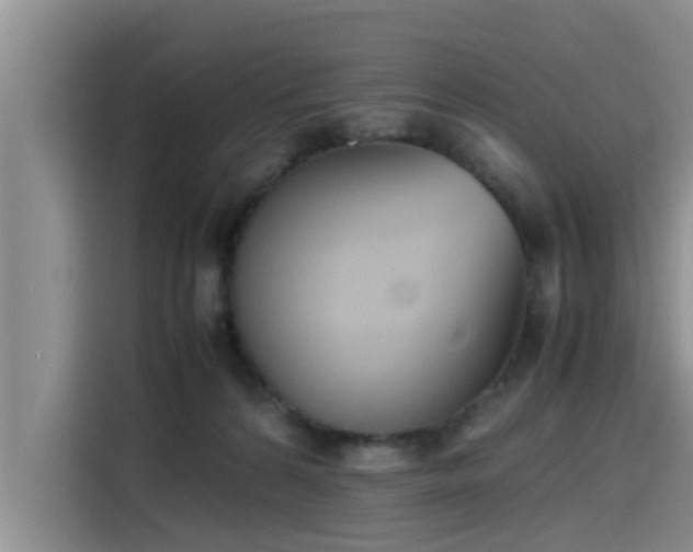 X0000115600224200911171134