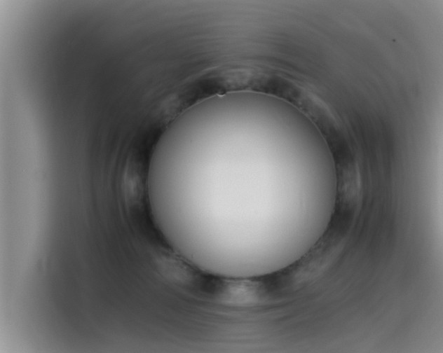 X0000115600226200911171134