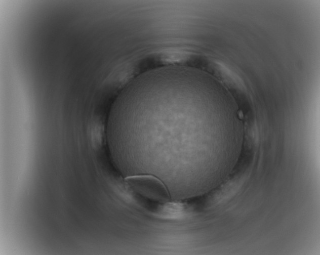 X0000115600227200911171134