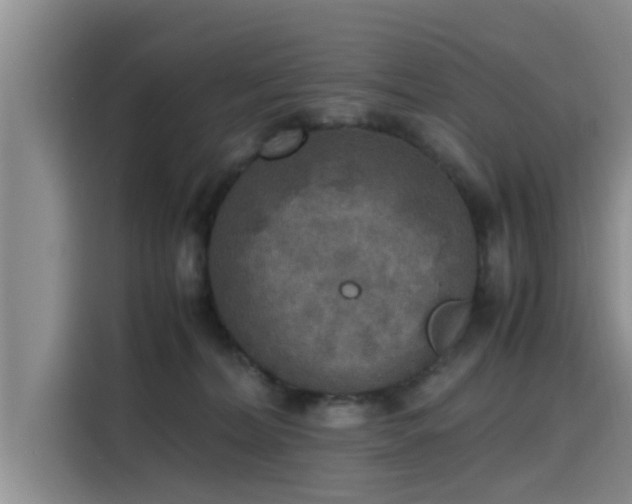 X0000115600228200911171134