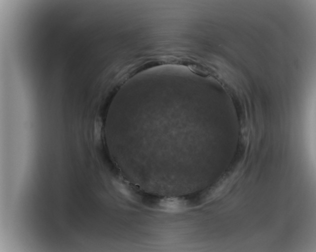 X0000115600231200911171134