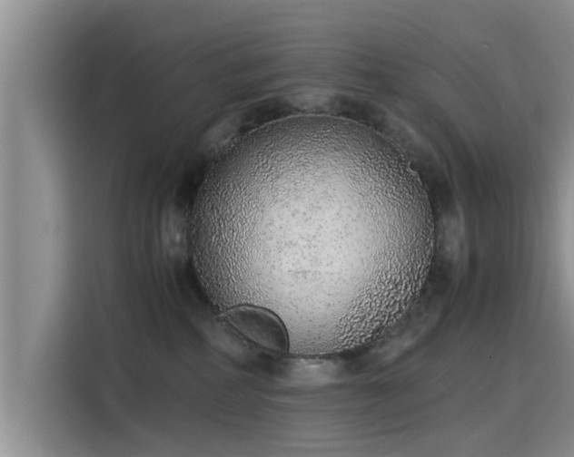 X0000115600234200911171134