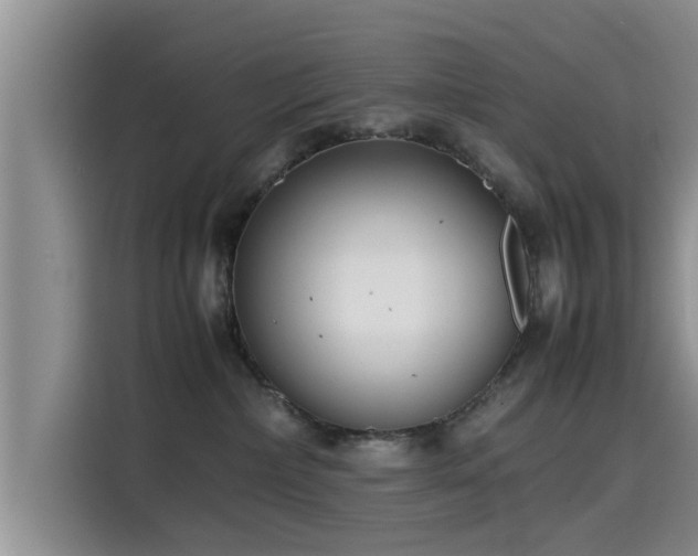 X0000115600236200911171134