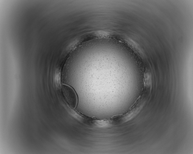 X0000115600238200911171134