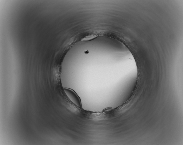 X0000115600240200911171134