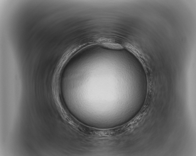 X0000115600241200911171134