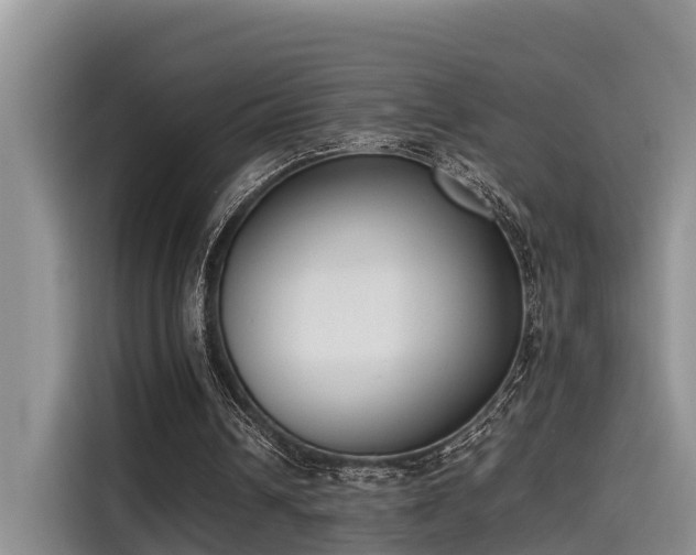 X0000115600242200911171134