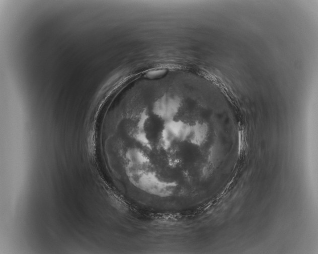 X0000115600243200911171134