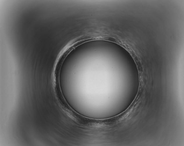 X0000115600246200911171134