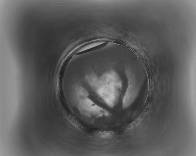 X0000115600247200911171134