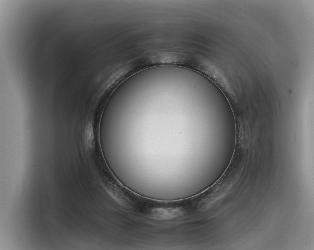 X0000115600251200911171134