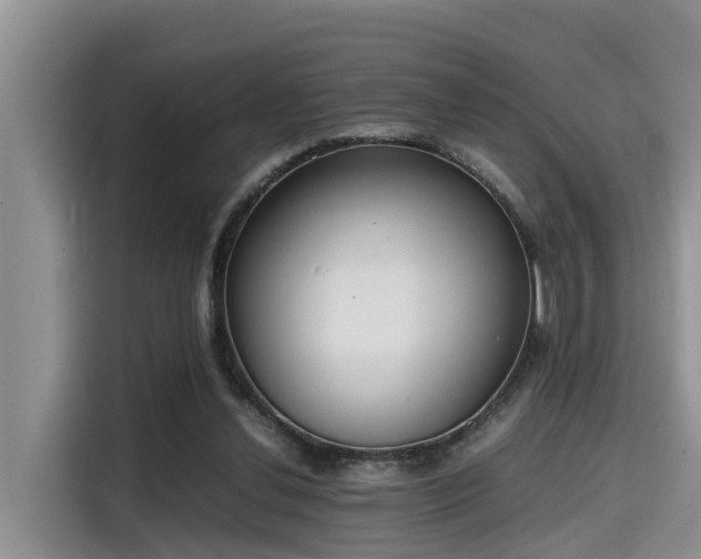 X0000115600252200911171134