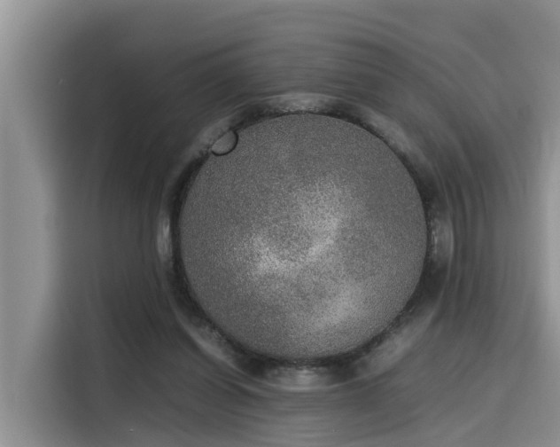 X0000115600254200911171134