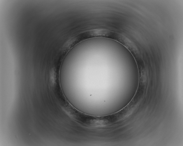 X0000115600255200911171134