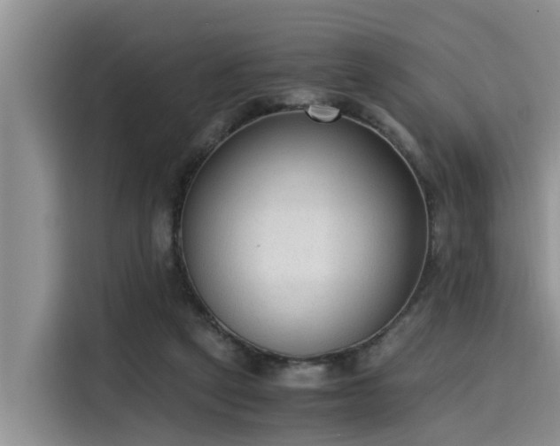 X0000115600257200911171134