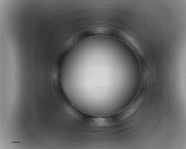 X0000115600265200911171134