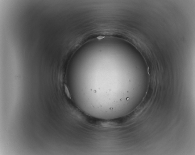 X0000115600268200911171134