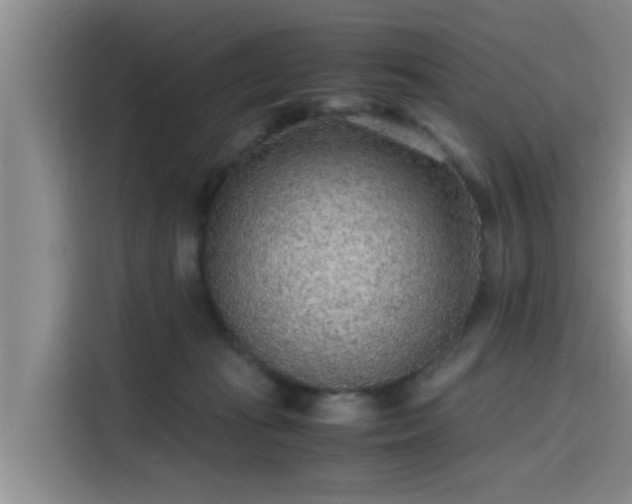 X0000115600269200911171134