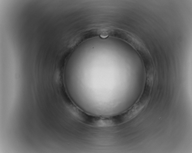 X0000115600270200911171134