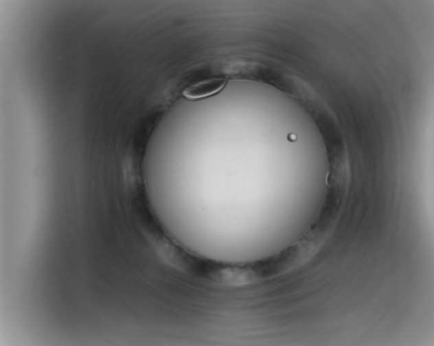 X0000115600272200911171134