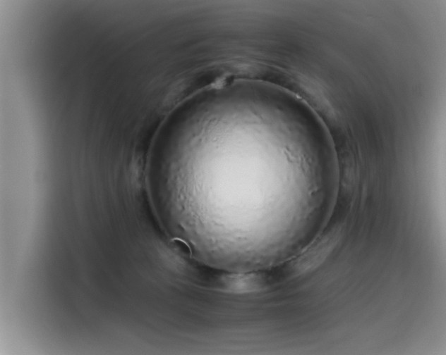 X0000115600273200911171134