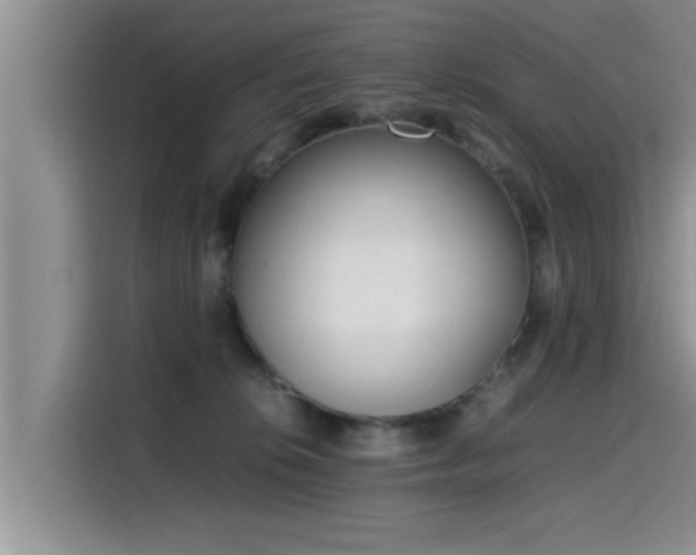 X0000115600276200911171134