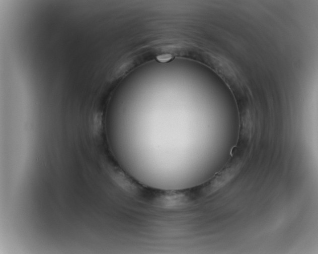 X0000115600278200911171134