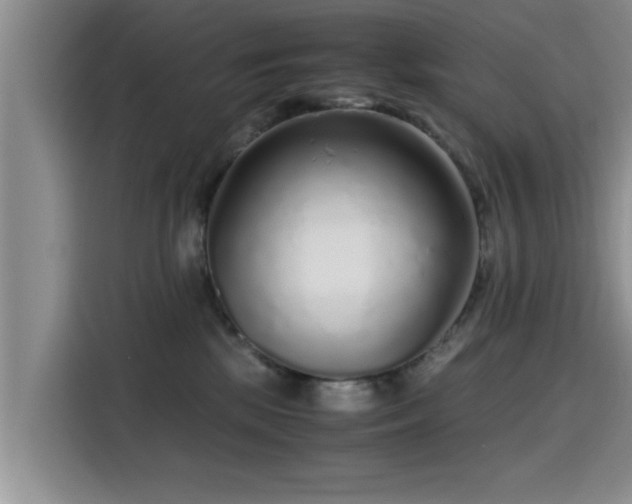 X0000115600281200911171134