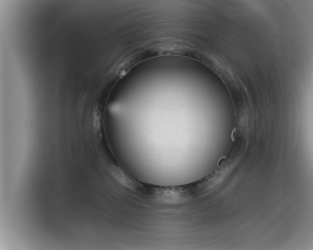 X0000115600282200911171134