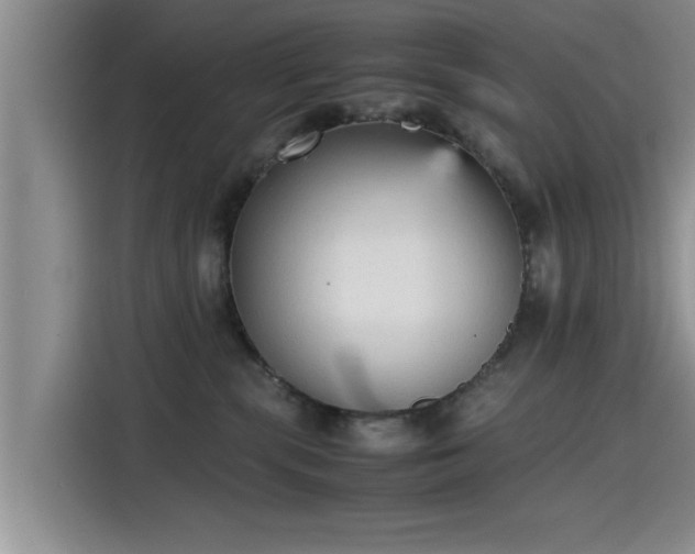 X0000115600283200911171134