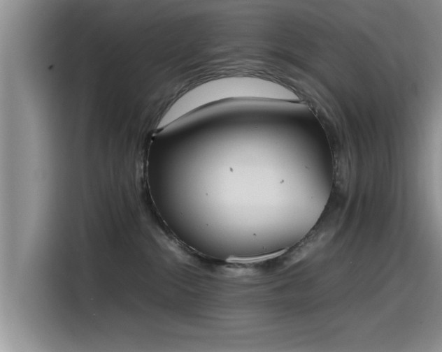 X0000115600284200911171134